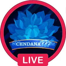 CENDANA777 - Pengalaman Terbaik di Live Casino